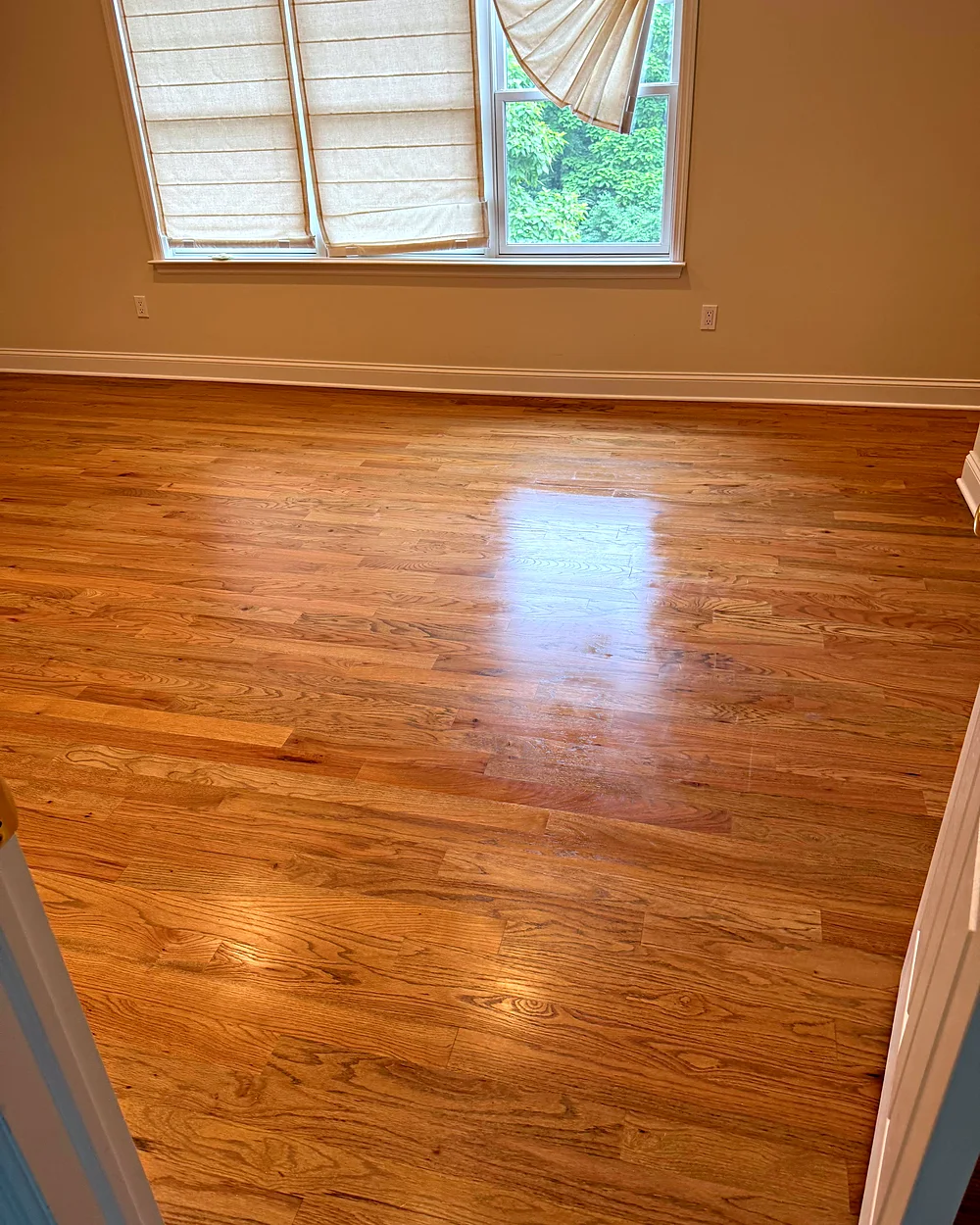 Freshly cleaned hardwood floors in a Peapack, NJ home