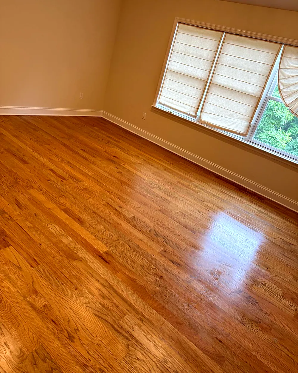 Empty bedroom with clean hardwood floors, house cleaning in Rockaway, NJ